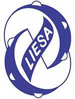 Logo LIESA 30 anos