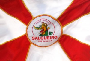 Unidos do Salgueiro - Bandeira